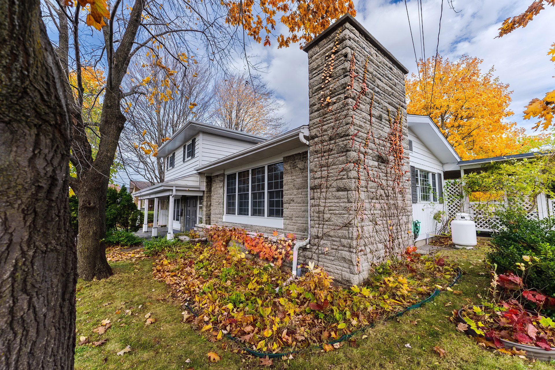 Exterieur_114-Ave-des-Chenes